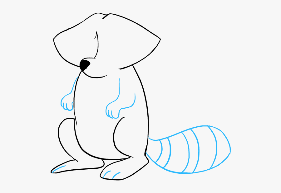 How To Draw A Raccoon, Transparent Clipart