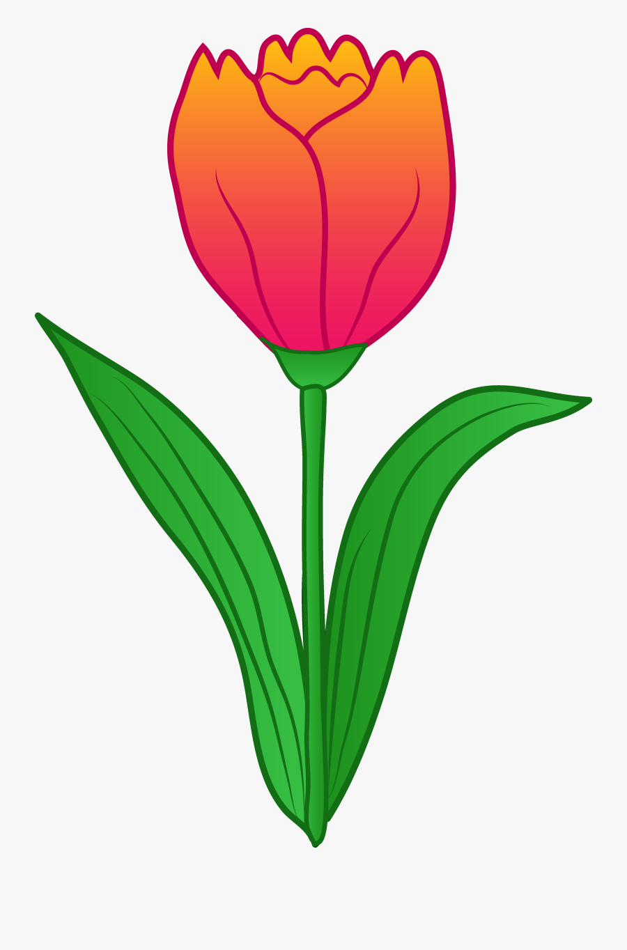 Tulip Clip Art Border - Tulip Clipart, Transparent Clipart