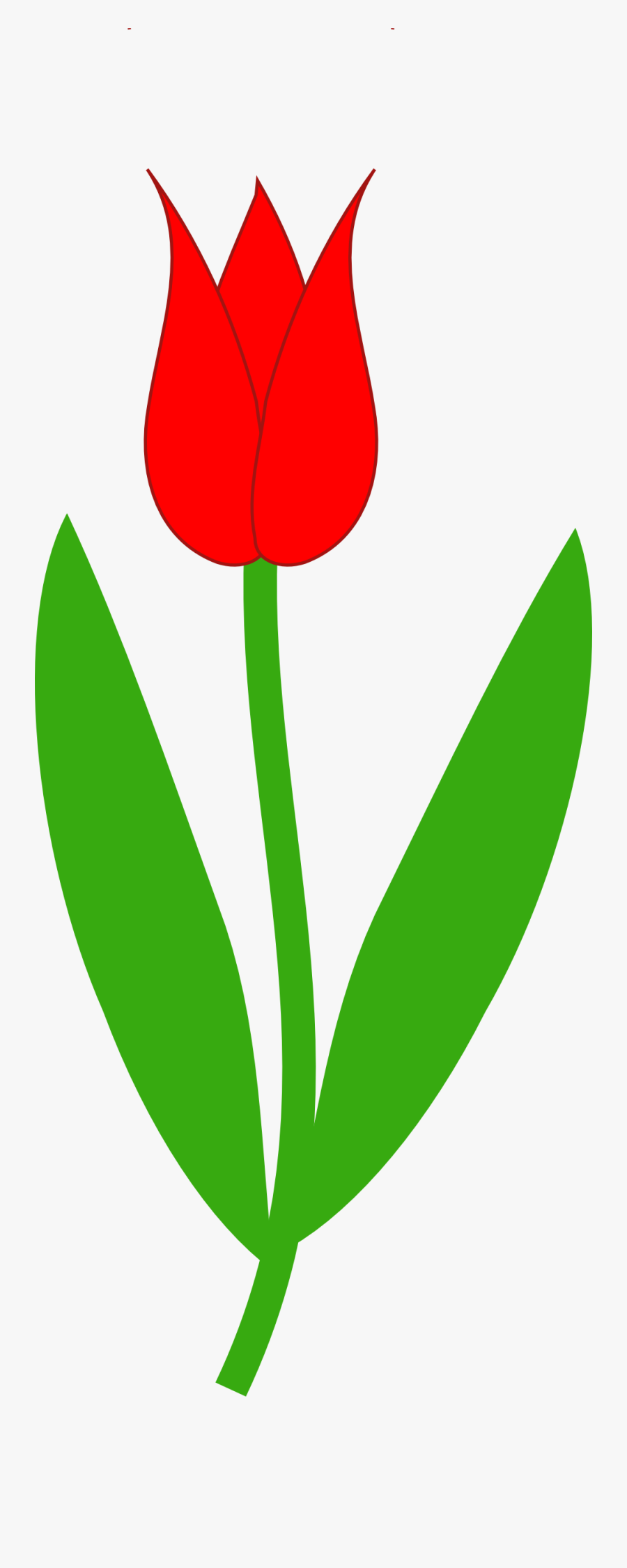 Tulip Clipart Red Tulip 999px - Tulip Flower Clipart, Transparent Clipart