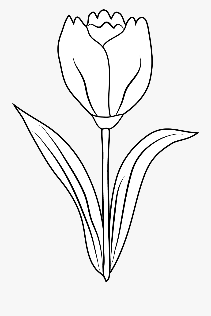Mirage - Clipart - Black And White Drawing Of A Tulip, Transparent Clipart