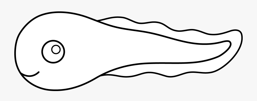 Library Cute Line Art Those - Draw A Tadpole Easy, Transparent Clipart