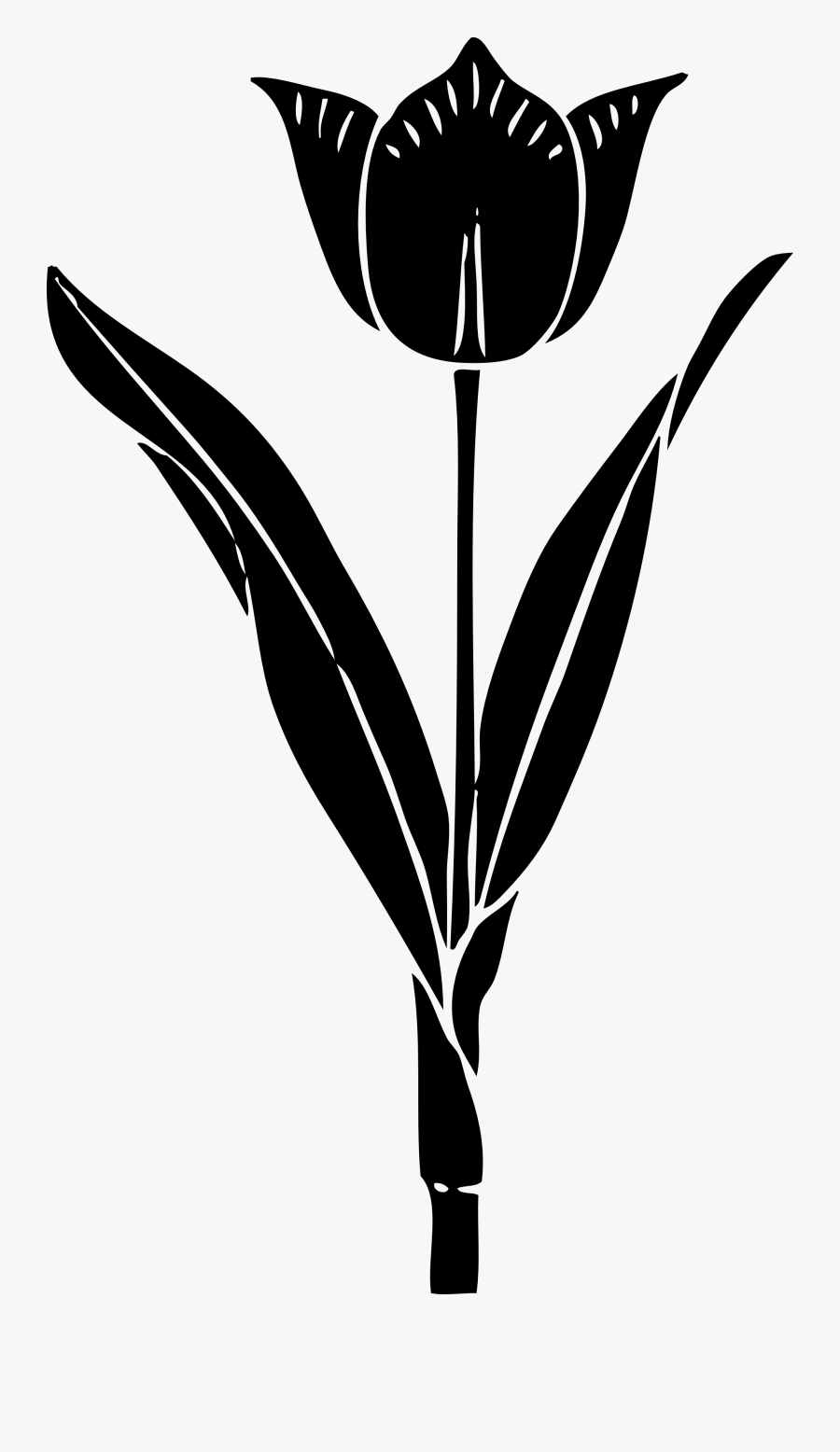 Tulip Flower Clipart Black And White - Tulip Silhouette, Transparent Clipart