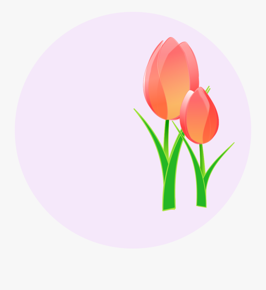 Tulip Clipart Image - Mother's Day 2019 India, Transparent Clipart