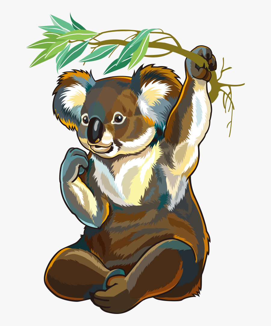 Vector Australia Animals Of Platypus Raccoon Koala - Dyr I Sør Australia, Transparent Clipart