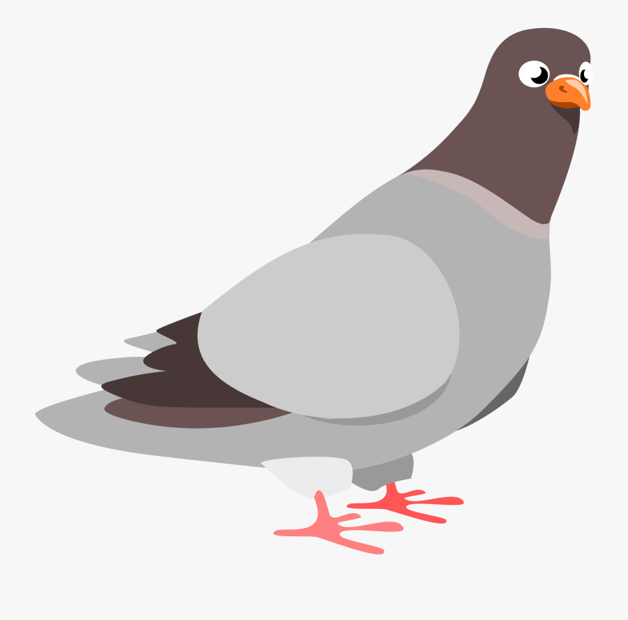 Pigeon Clipart, Transparent Clipart