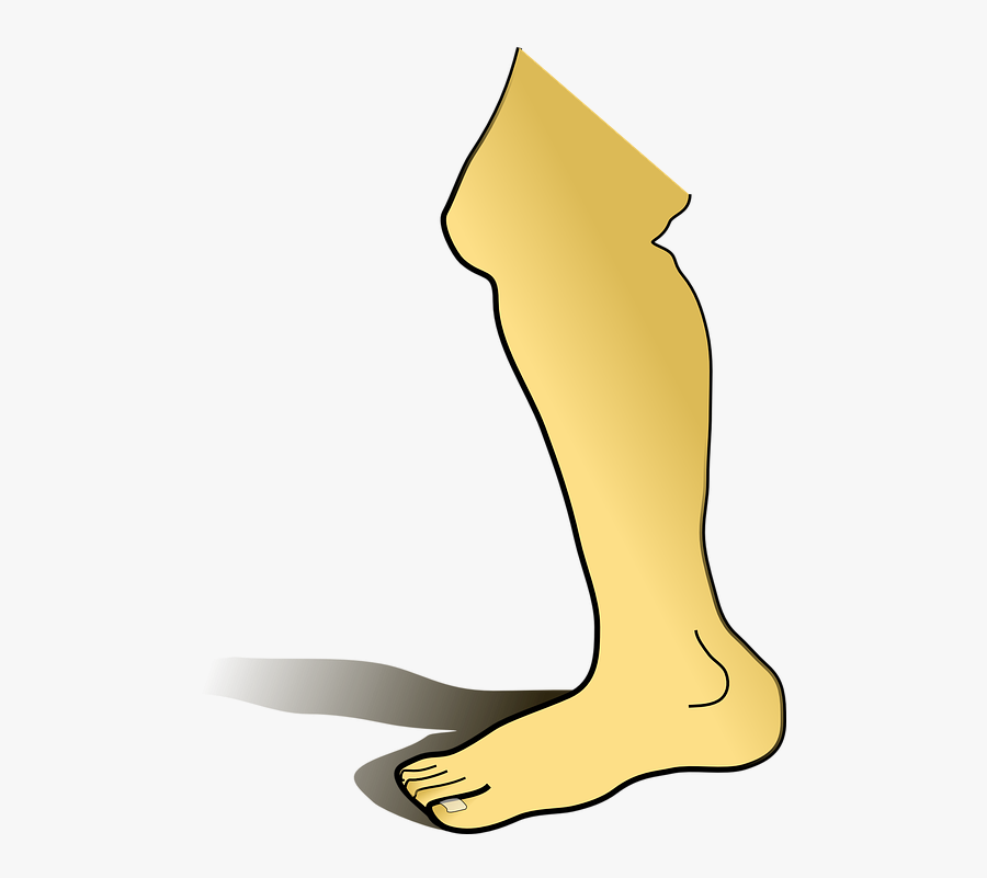 Anatomy Clip Art Foot - Leg Clipart, Transparent Clipart