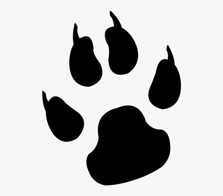 Cat Foot Print 15, Buy Clip Art - Lion Paws Clipart, Transparent Clipart