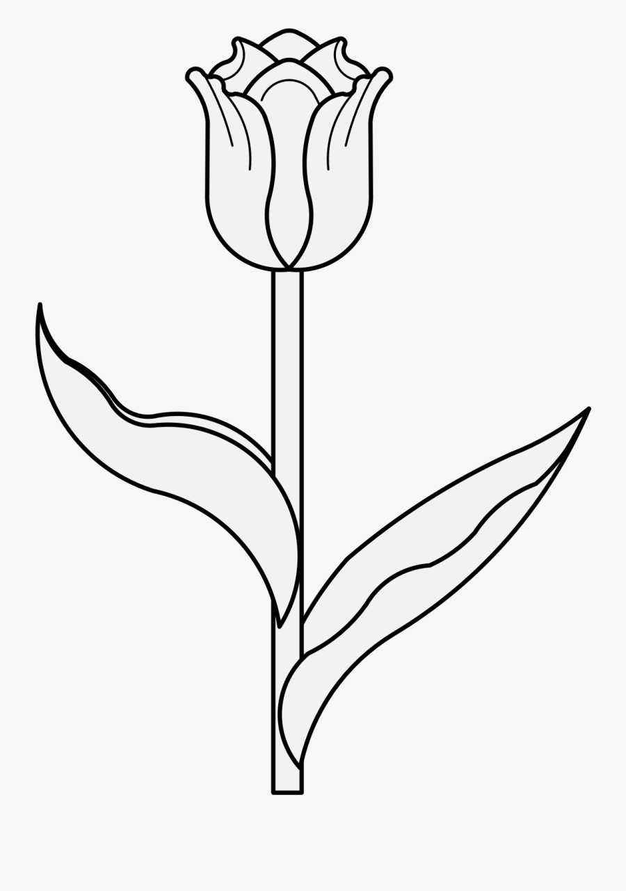 Tulip Traceable Flower, Transparent Clipart