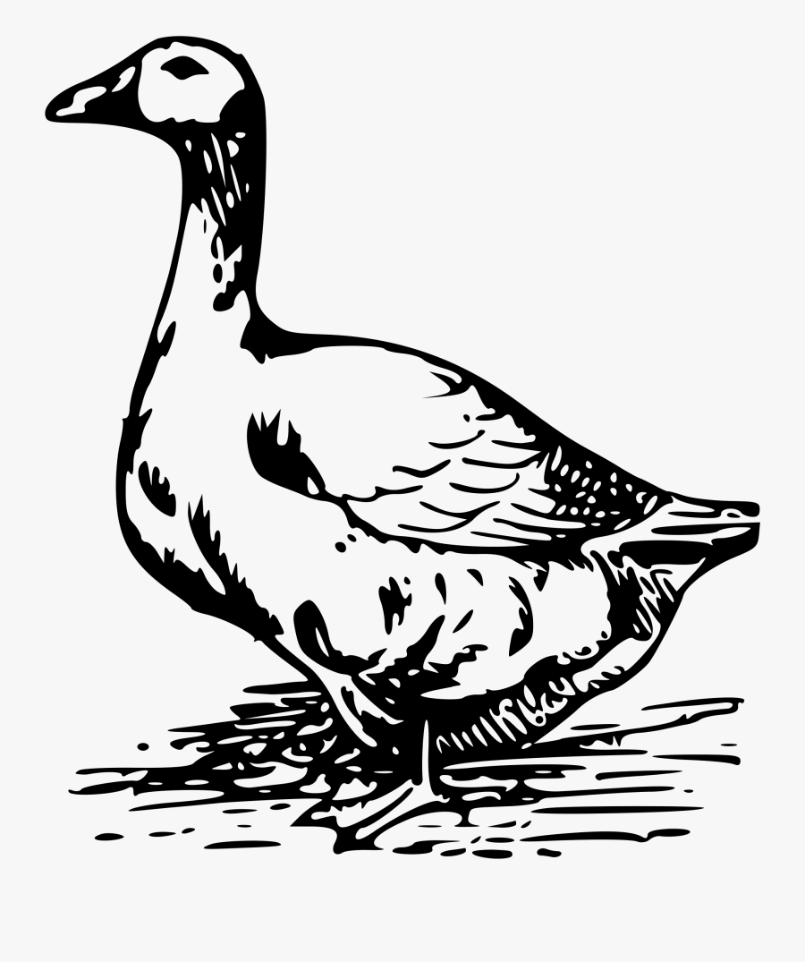 Thumb Image - Goose Vector Free, Transparent Clipart