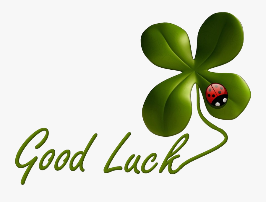 Nothing But Good Luck - Good Luck In Test, Transparent Clipart