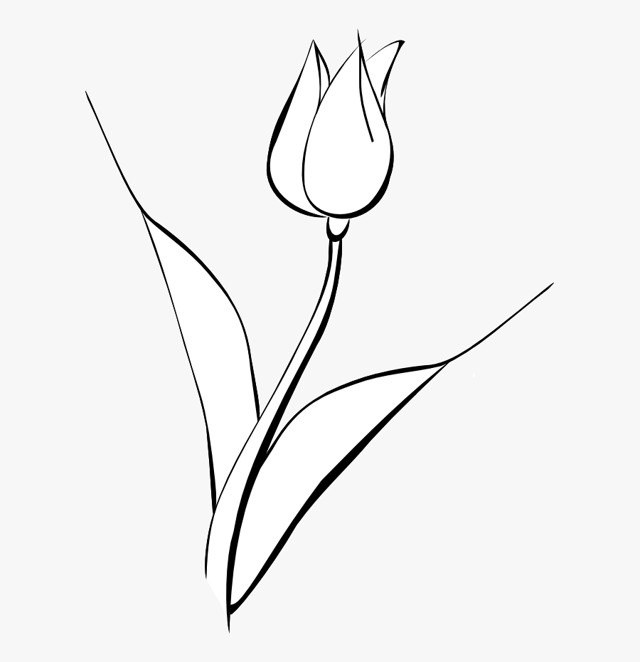 White Tulip Clip Art Noelle Nichols - Black White Tulip Png, Transparent Clipart