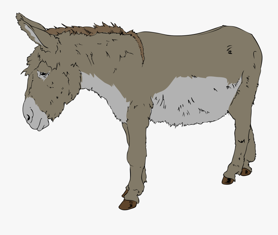 Donkey Clipart, Transparent Clipart