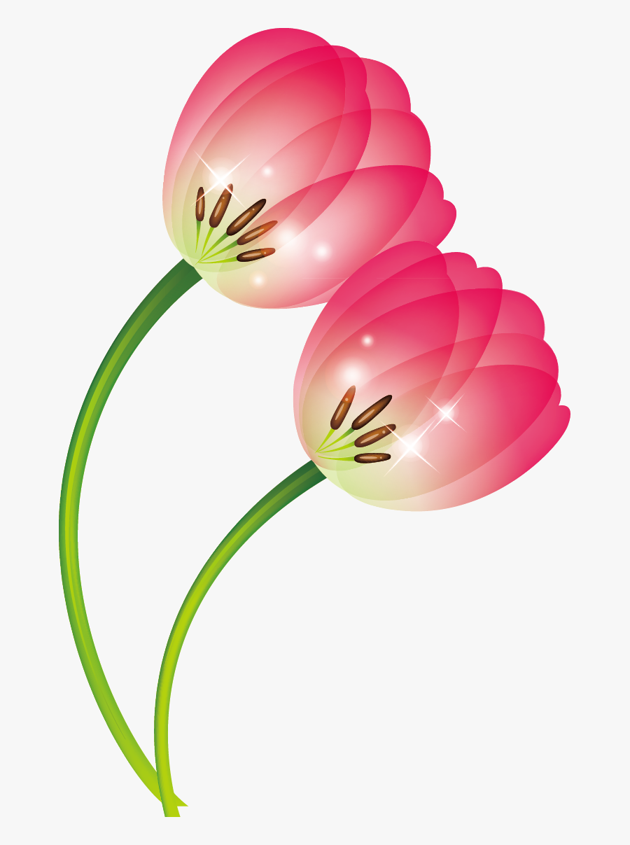 Tulip Clip Art - Tulip, Transparent Clipart