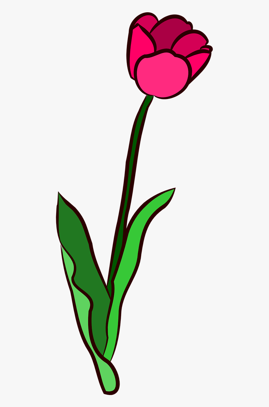 Clip Art, Transparent Clipart