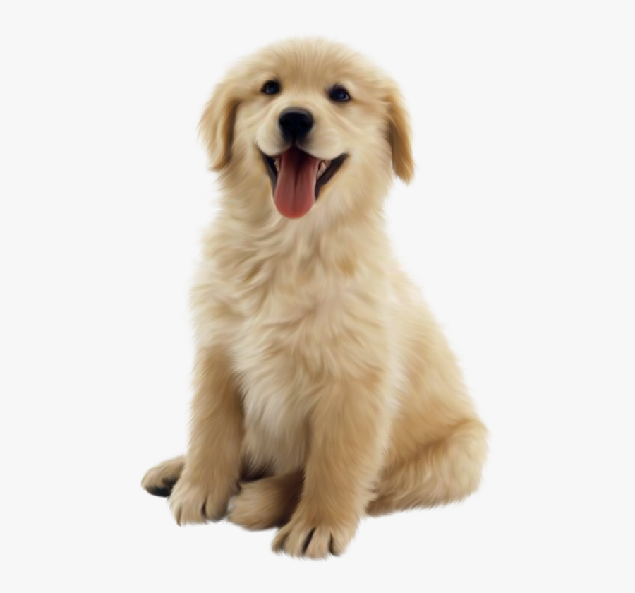 Real Dog Clipart - Golden Retriever Puppy Png, Transparent Clipart