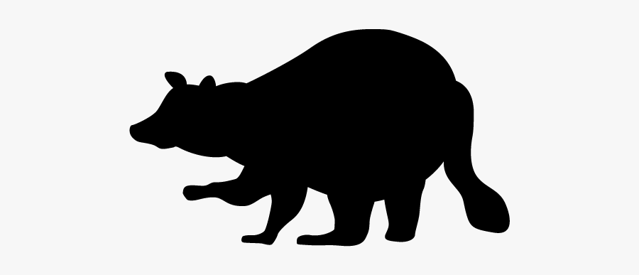 Raccoon Clipart, Transparent Clipart
