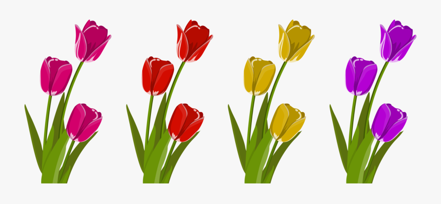 Plant,flower,meadow - Tulip Close Clipart, Transparent Clipart