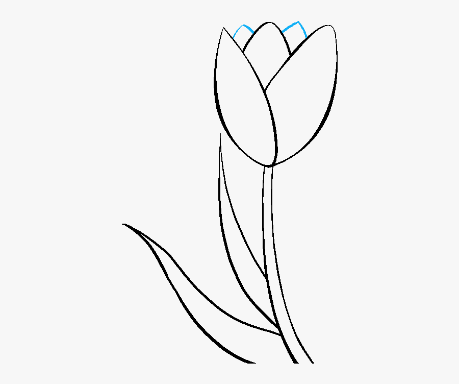 How To Draw A Tulip Really Easy Drawing Tutorial - Simple Flower Drawing Tulip, Transparent Clipart