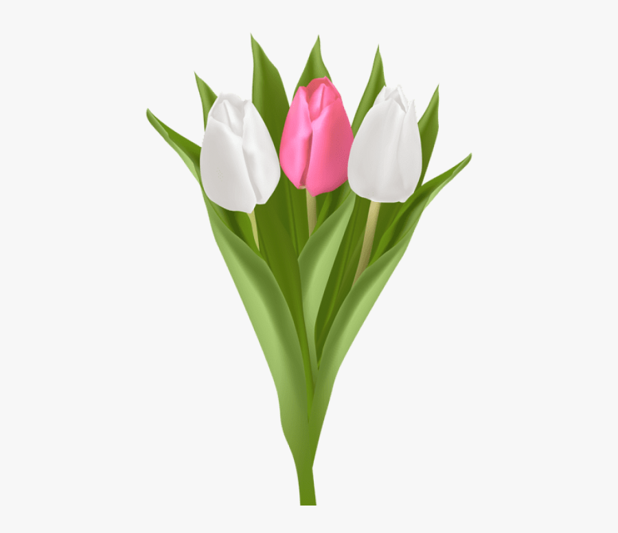 Bouquet Of Yellow Tulips Png Clipart Vector Free - Tulip, Transparent Clipart