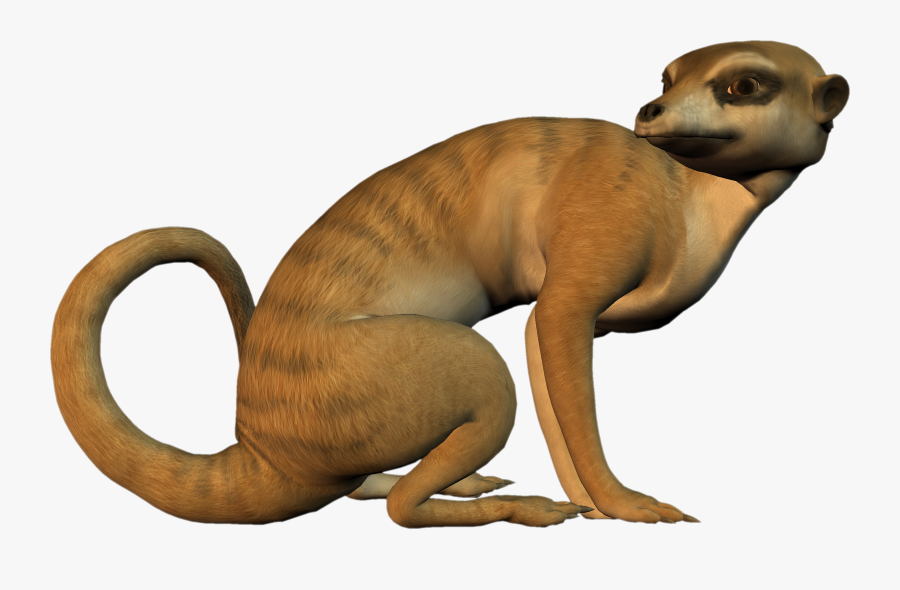 Free High Resolution Graphics And Clip Art - Clipart Meerkat, Transparent Clipart