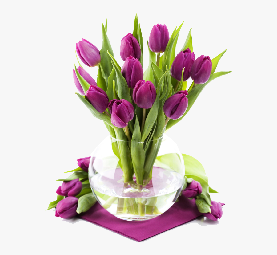 Zsófia Névnap, Transparent Clipart