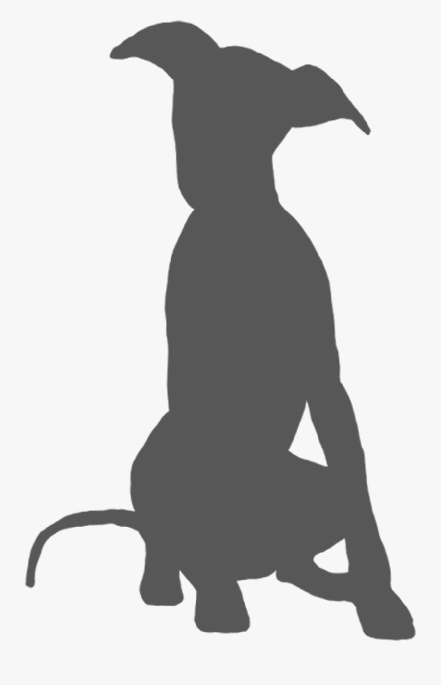 Italy Clipart Dog - Spanish Greyhound, Transparent Clipart