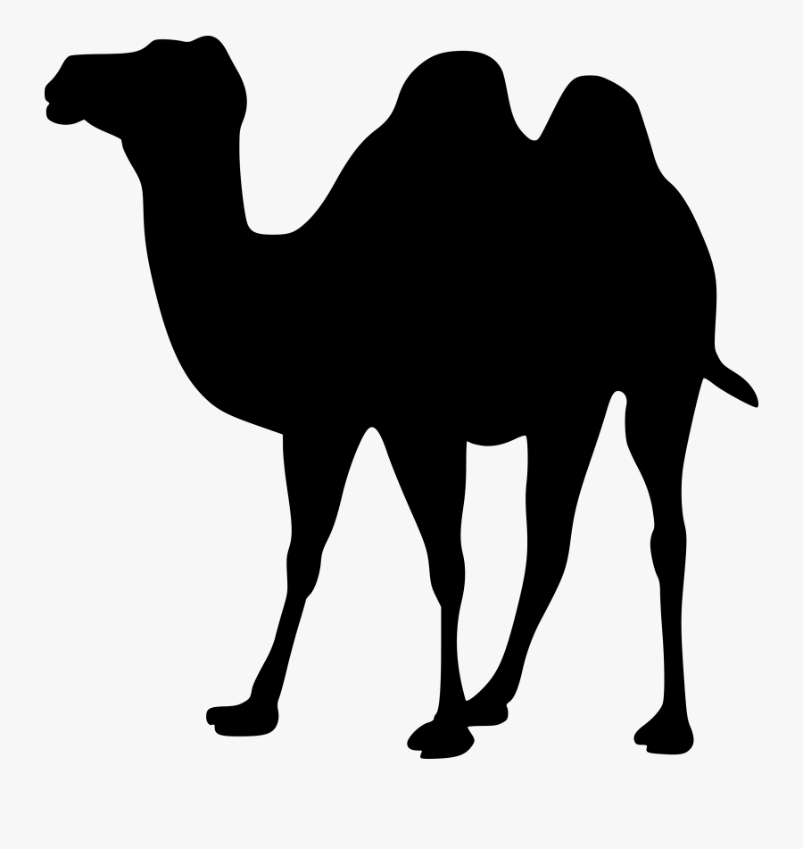 Camel Clipart Nativity Donkey - Clipart Camel, Transparent Clipart