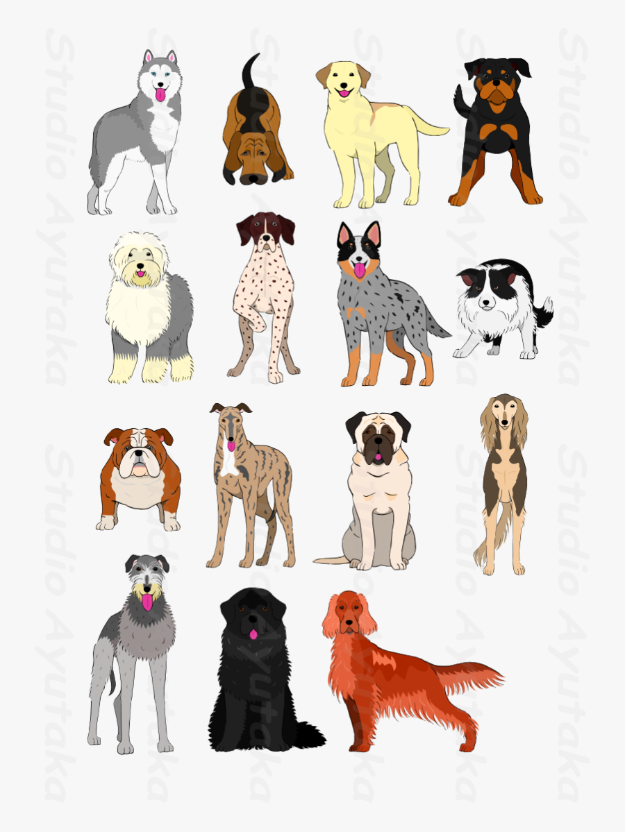 Group Of Large And Middle Dogs Breeds Hand Drawn - Australian Cattle Dog Drawing, Transparent Clipart