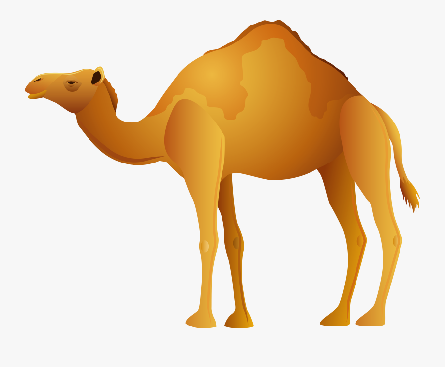 Camel Png Clip Art, Transparent Clipart