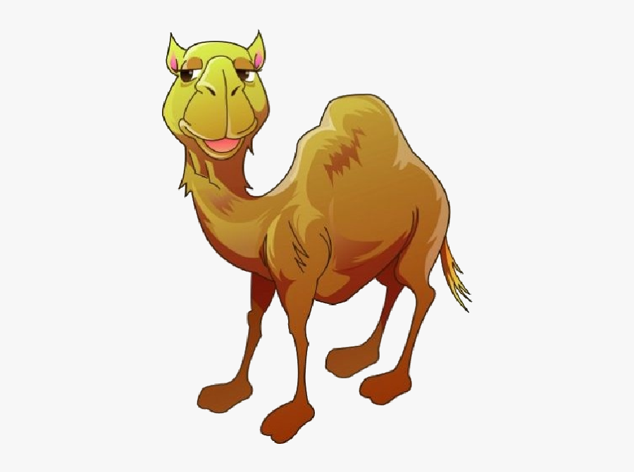 Funny Camel Clipart Pictures - Cartoon Camel Clipart Png, Transparent Clipart