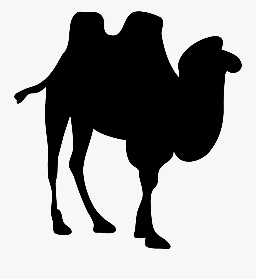 Camel Contour - Camel Silhouette No Background, Transparent Clipart