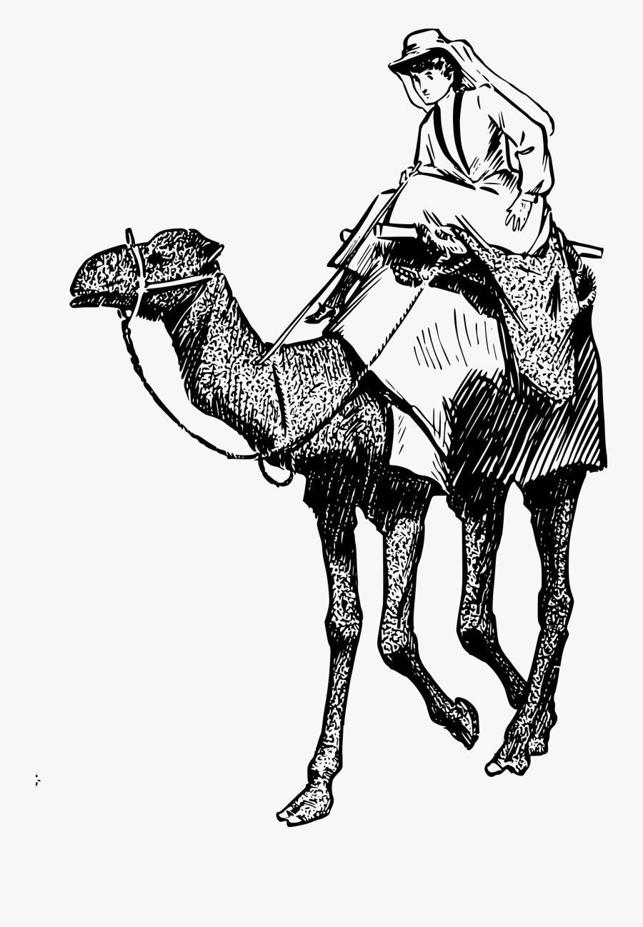 Woman On A Camel - Camel +clipart, Transparent Clipart