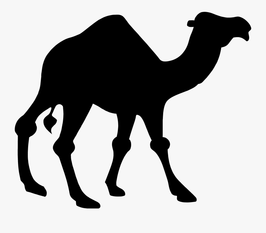 Camel Silhouette - Clipart Camel, Transparent Clipart