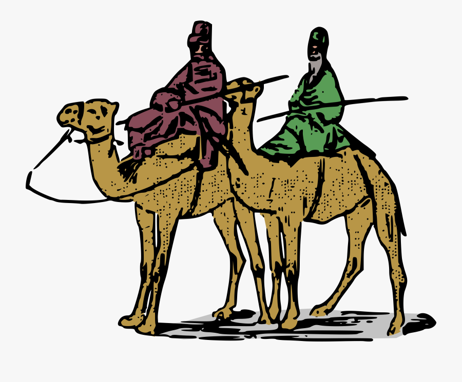 Horse,livestock,pack Animal - Camel With Human Clipart, Transparent Clipart