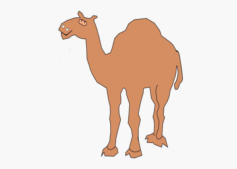 Clipart Camel - Clip Art Of Camel, Transparent Clipart
