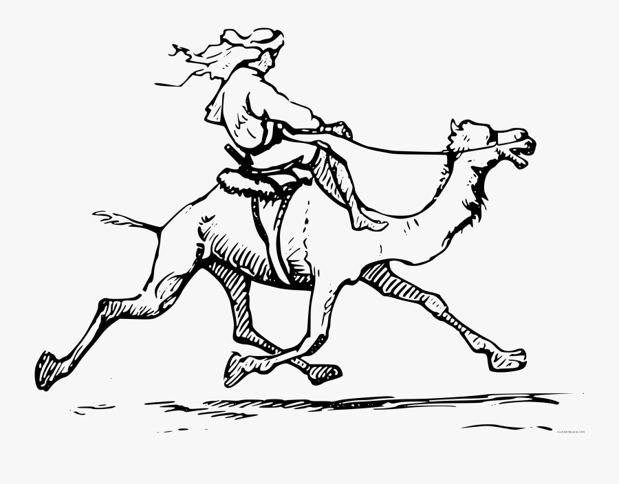 Clipart - Drawing Man On Camel, Transparent Clipart