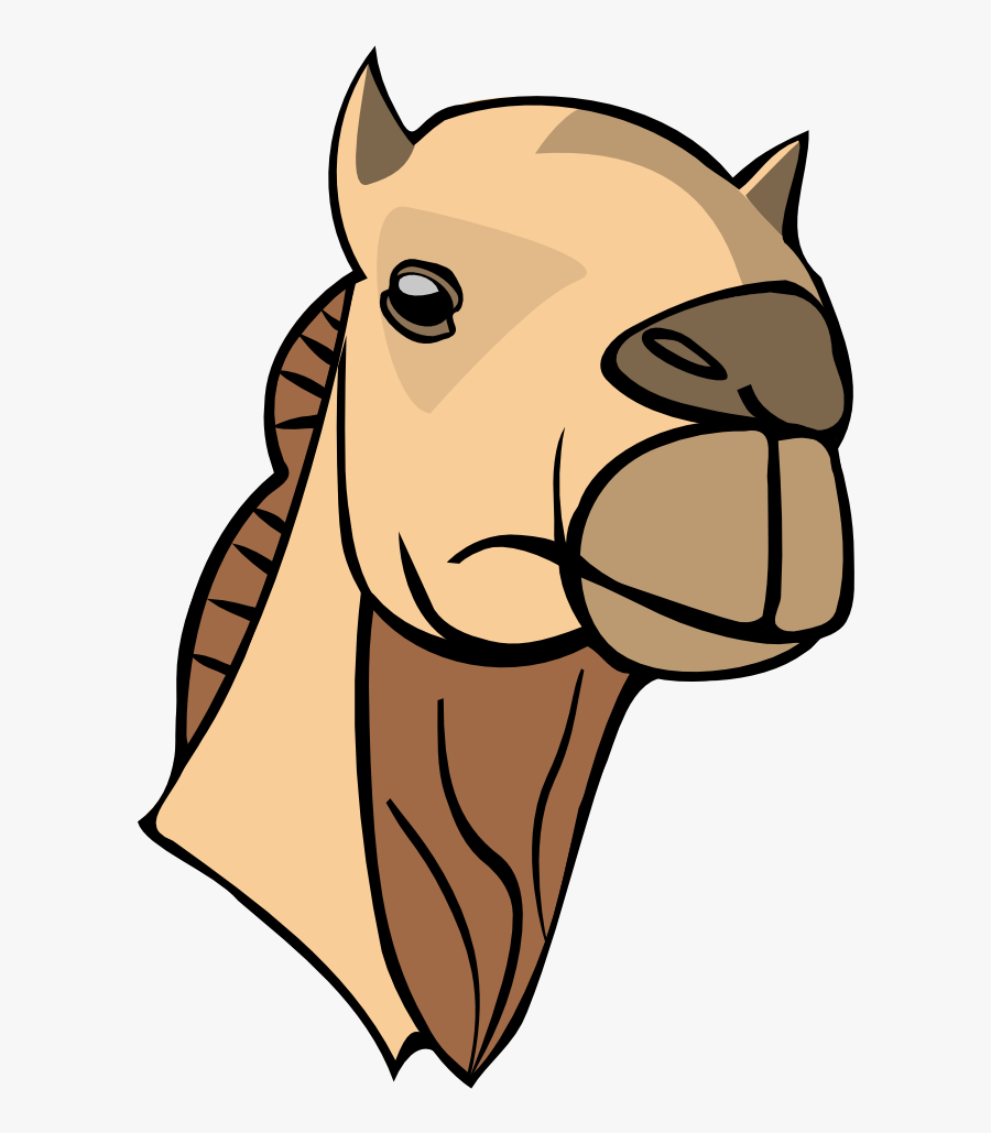Camel Head - Camel Clipart Head, Transparent Clipart