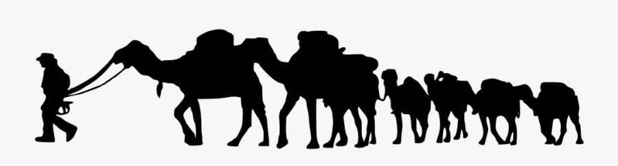 Safari Guide Scroll Saw - Caravan Camel Vector Png, Transparent Clipart