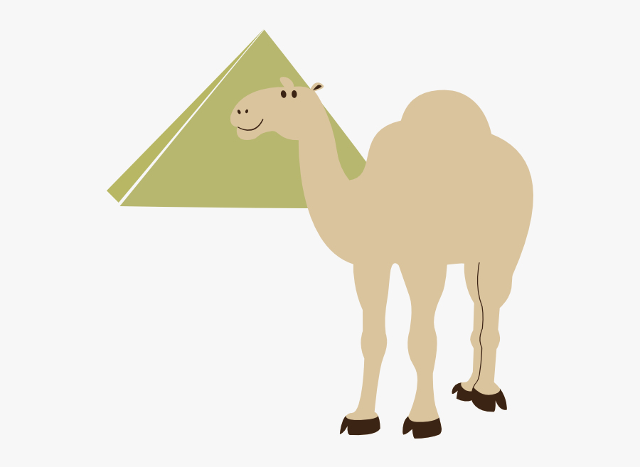 Camel In Pyramids Vector, Transparent Clipart