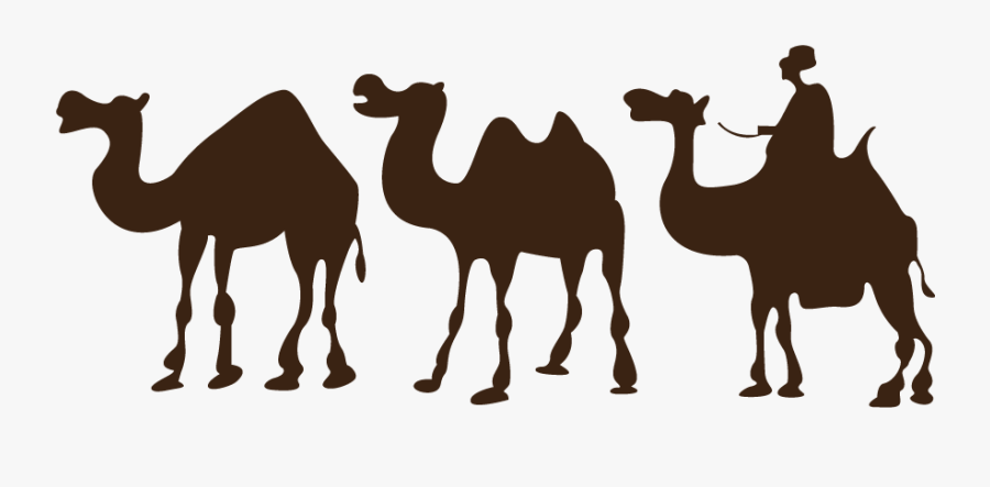Camels Drawing Easy Huge Freebie Download For Powerpoint - صور كرتون عن الصحراء, Transparent Clipart