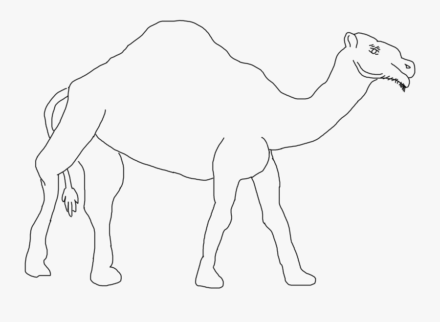 Hd Camel - Make Camel, Transparent Clipart