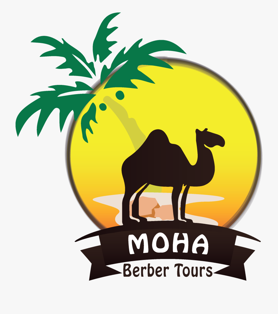 Moha Berber Tours - Arabian Camel, Transparent Clipart
