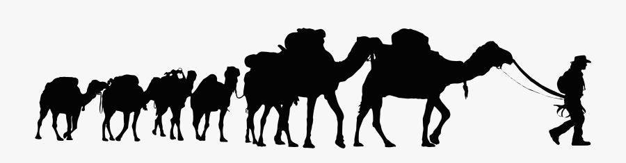 Transparent Walking With Camel, Transparent Clipart