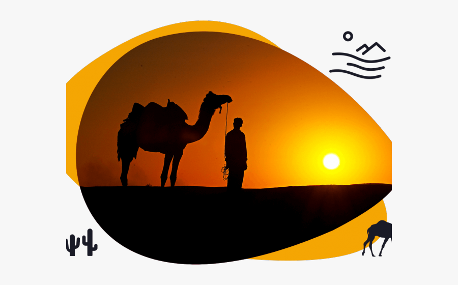 Transparent Camels Clipart - Desert Safari Clipart Png, Transparent Clipart