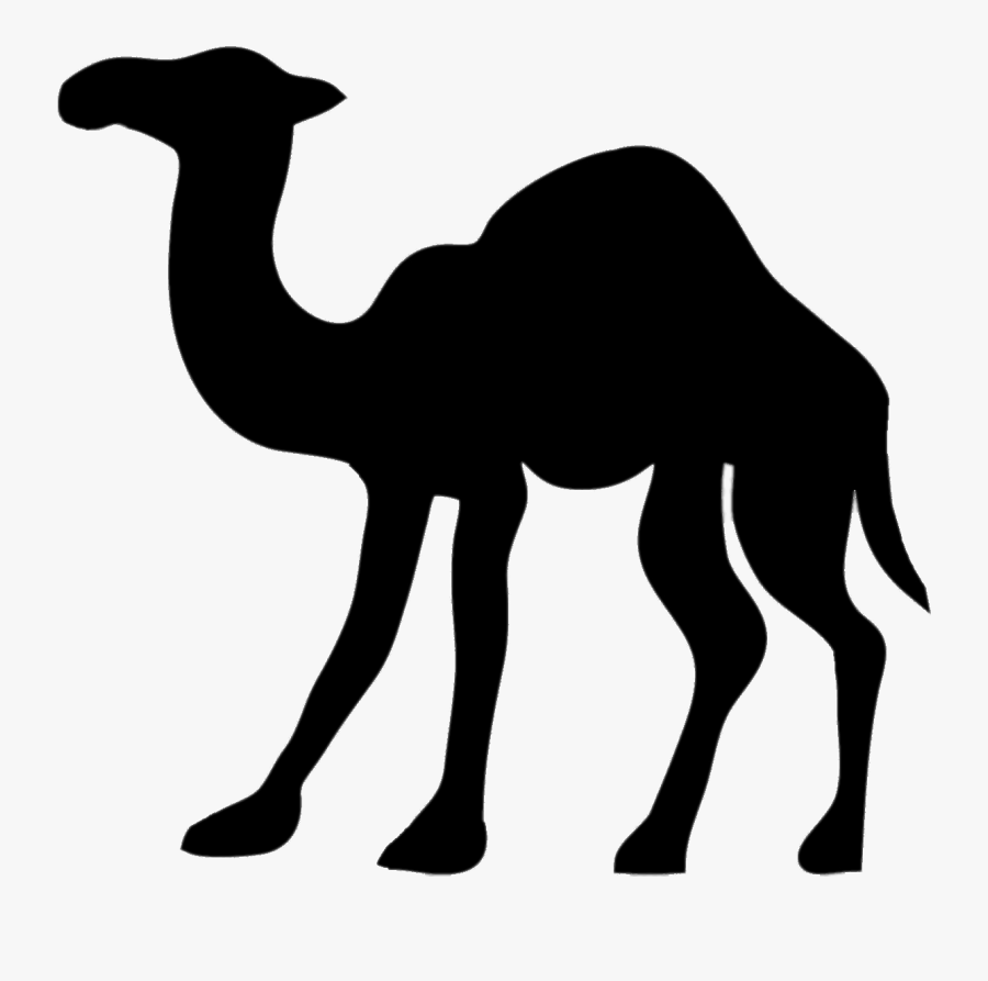 Camel - Camel Stencil, Transparent Clipart