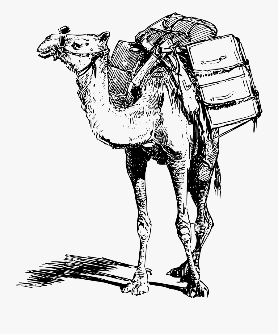 Laden Meaning, Transparent Clipart