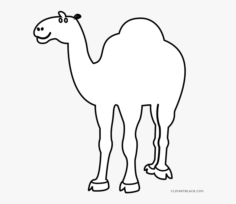Outline Animal Free Black - Camel Clipart Black White Transparent, Transparent Clipart