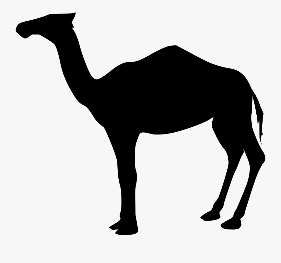 Clipart - Camel Clipart Gif, Transparent Clipart