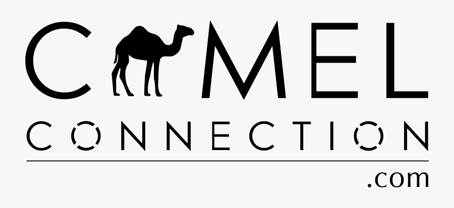 Arabian Camel, Transparent Clipart