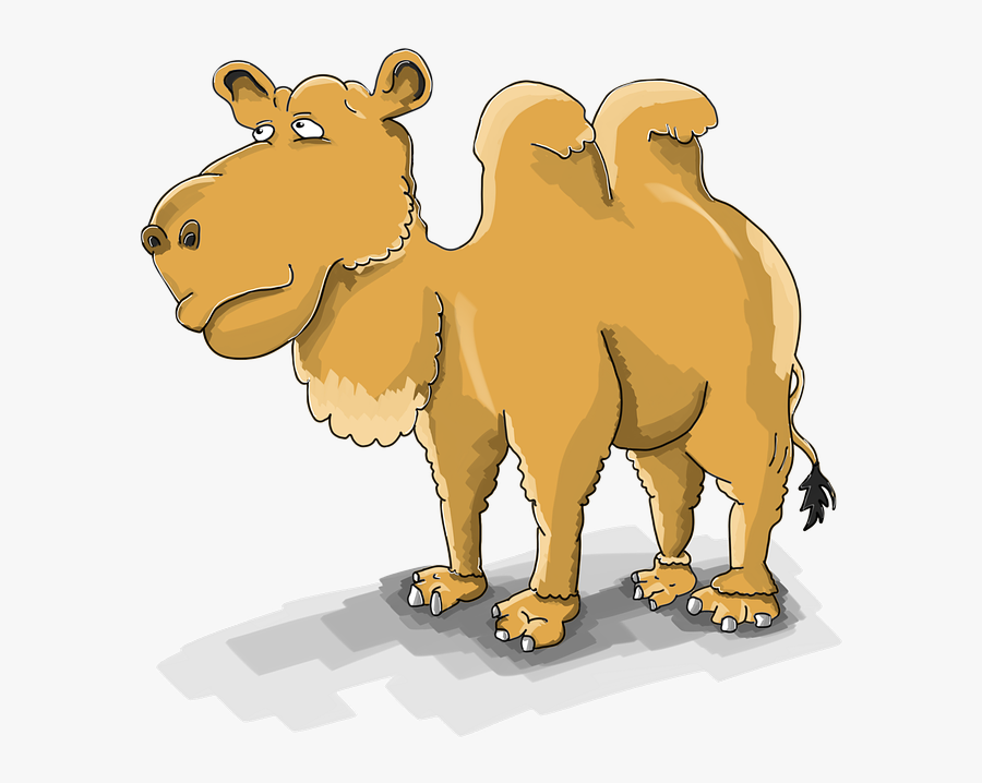 Camel Clipart, Transparent Clipart